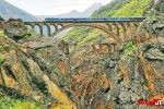 پیش‌فروش بلیت قطارهای مسافری از دوشنبه آغاز می‌شود