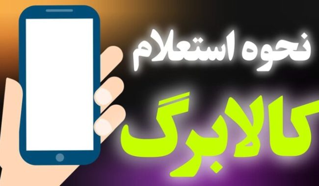 راهنمای کامل استعلام موجودی کالابرگ الکترونیکی؛ با کد دستوری و اپلیکیشن