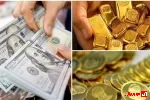 سرمایه‌گذاران طلا با حرکت جمعی نرخ دلار غیررسمی را به سمت بالا می‌برند